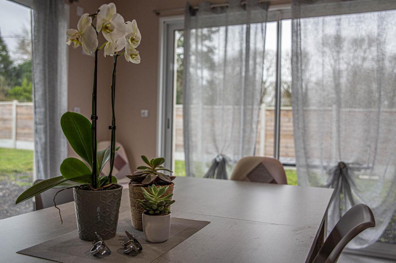 Kokana Modern Holiday Home Englesqueville-la-Percée المظهر الخارجي الصورة